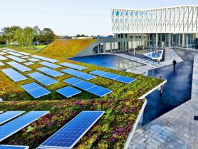 зеленые крыши – лучшее место для солнечных батарей?