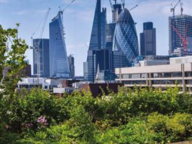 В Лондоне подведены итоги 10 — летней работы по озеленению города
