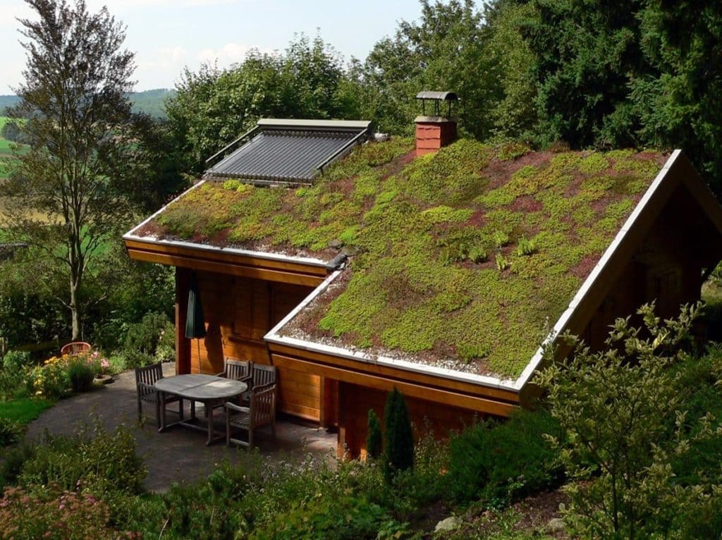Зеленая крыша в деревянном доме