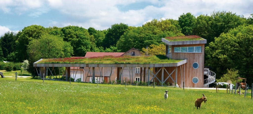 Озеленение крыши как решение проблемы затопления
