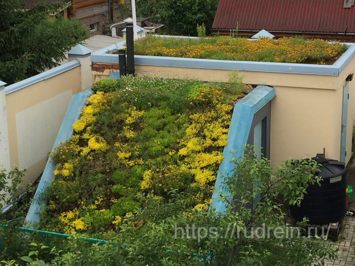 Хозяйственные постройки - озеленение крыши
