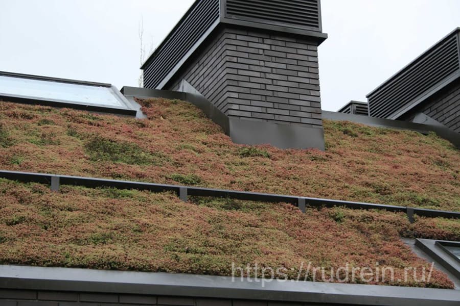 КП «Evergreen» - озеленение крыши