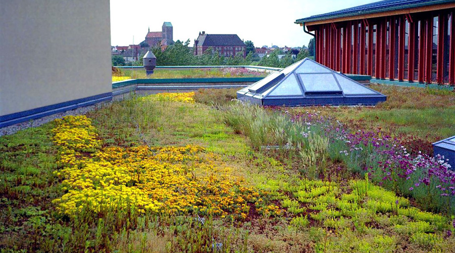 Озеленение крыш зданий и домов