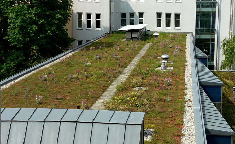 Озеленение крыши жилого здания