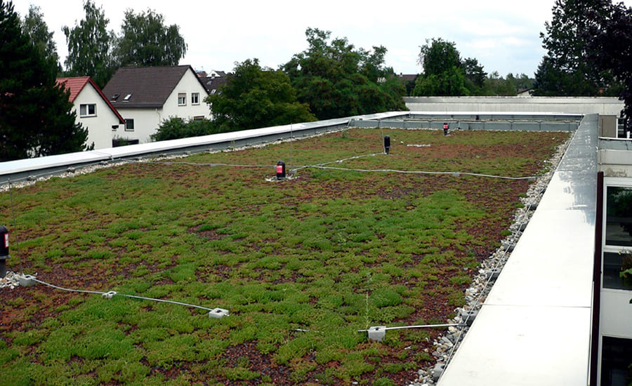 озеленение крыши дома по новой технологии