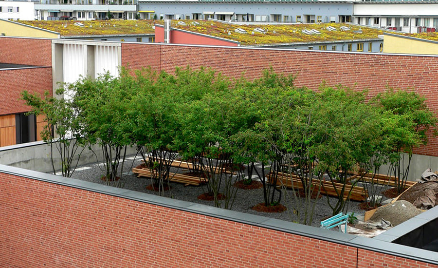 Проект озеленения крыши