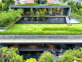 Озеленение крыши: Решение экологических проблем и переход к устойчивому будущему