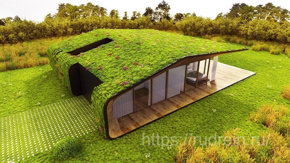 Газон для озеленения крыш