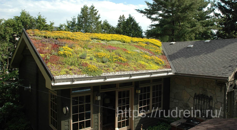 Озеленение и декорирование крыши дачи